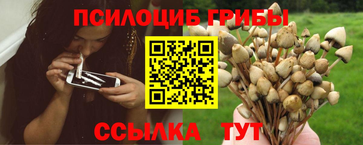 Псилоцибиновые грибы Magic Shrooms Барабинск